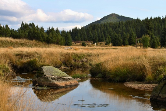 Bukovec Jizerské hory