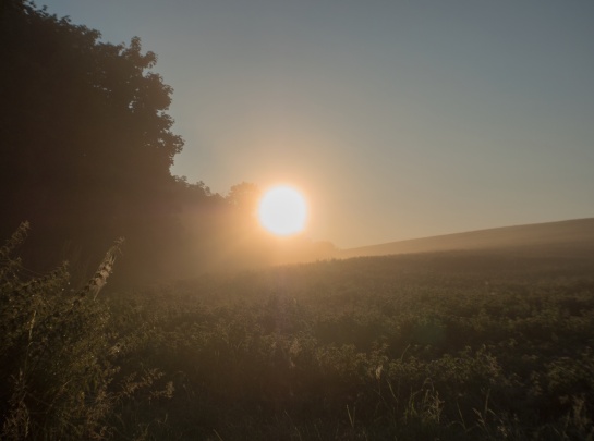 Slunce nad lánem 