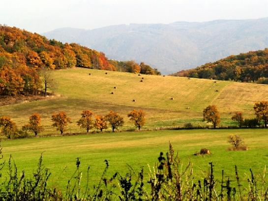 Podzim v Českém středohoří