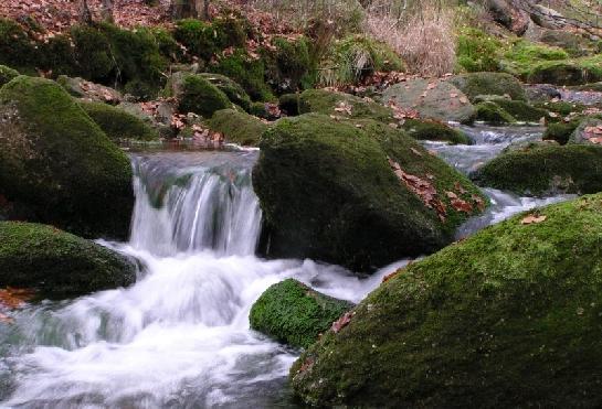 Kamenice na Josefovým Dolem