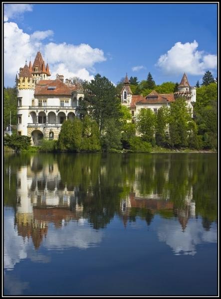 Žinkovi v zrcadle