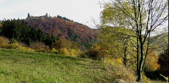 Lichnice v Železných  horách