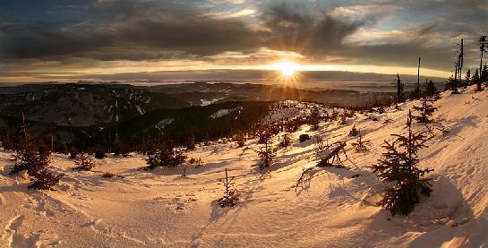 Zlaté ráno II