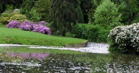 Průhonice park