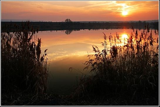 Dobrou noc u rybníka.