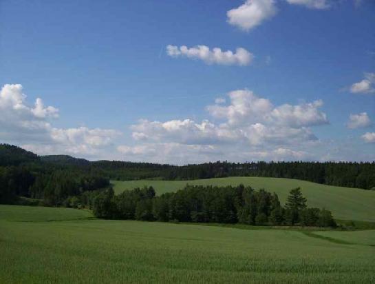 Březinská krajina