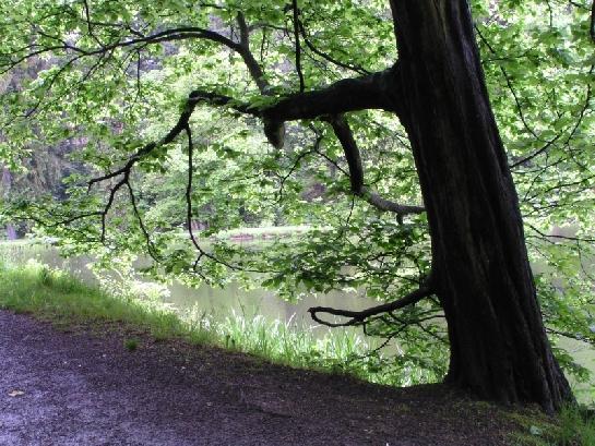 Průhonický park