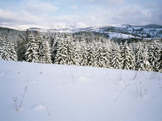 Zimní panorama Jeseníků