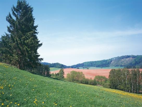 Krajina u Žamberka