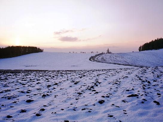 Ztichlá krajina