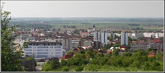 Celkový pohled na Litoměřice.