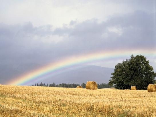 Duha nad polem