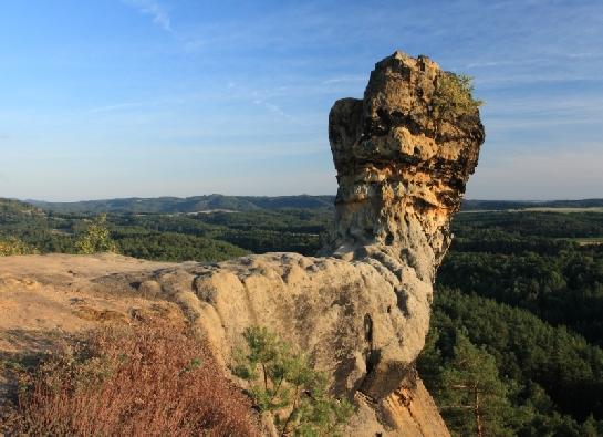 Čapská palice