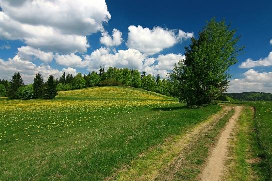 Jaro na Vysočině