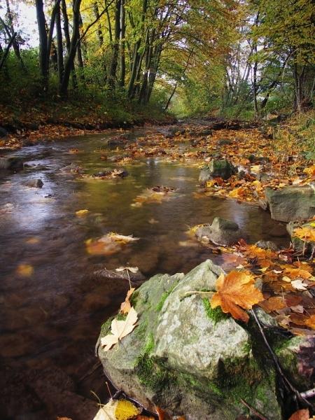 Podzim na Veličce