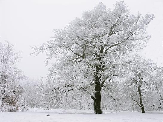 Šest sjezdovek na Bouřňáku