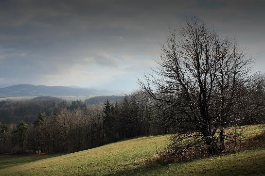 Výhled na Beskydy