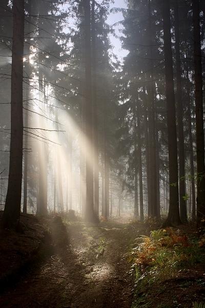 Cesta za světlem