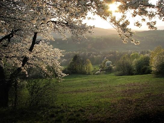 Jarní krajina nad Životicemi