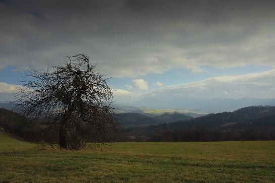 Výhled na Beskydy