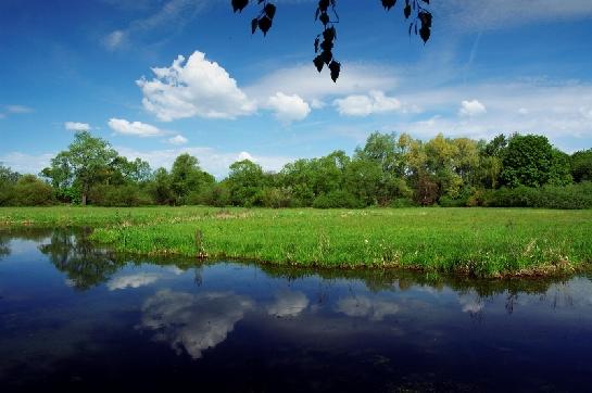 Poodří - Kotvice