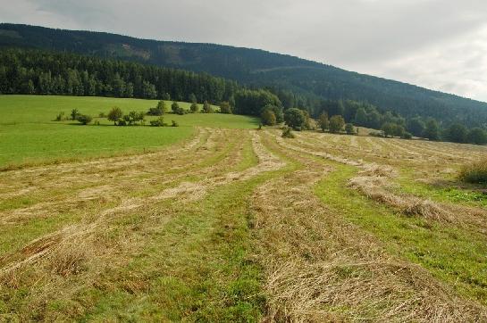 Černá hora