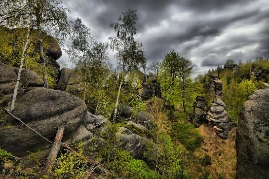 Broumovské stěny