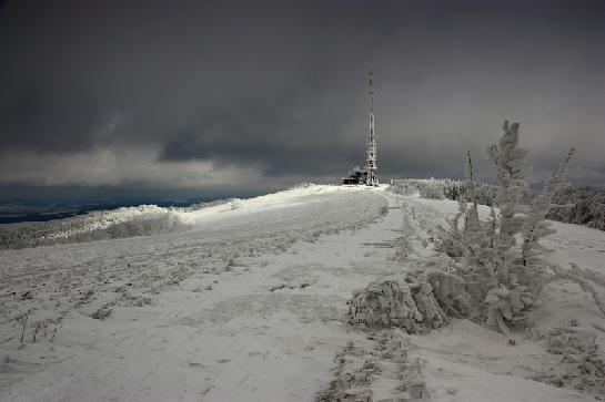 Velká Javořina