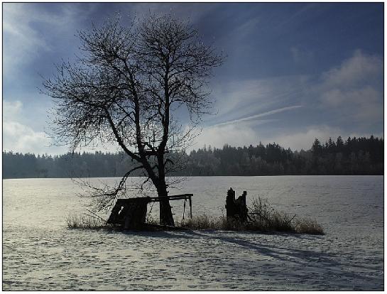 Lednová krajina.