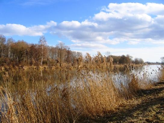 Břeh Labe u Nymburka