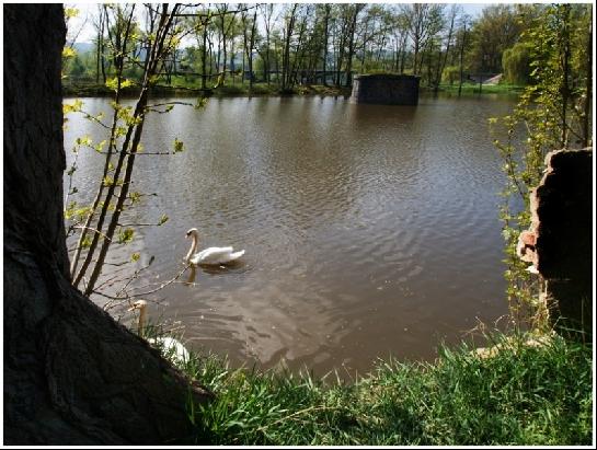 Průhled do zátoky.