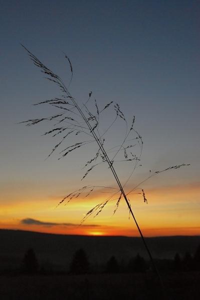 Večerní romance