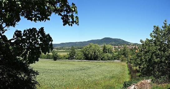 Panorama