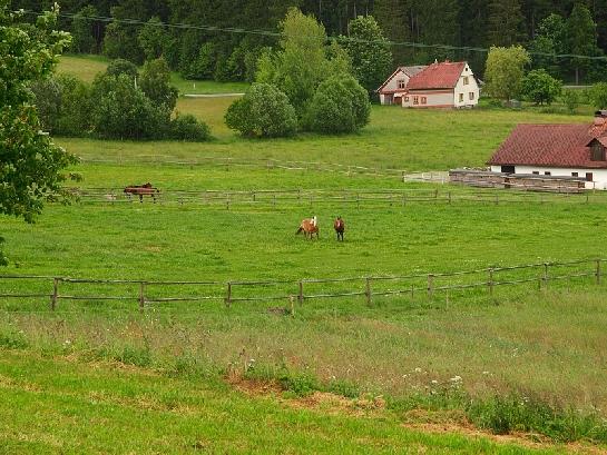 Šumava