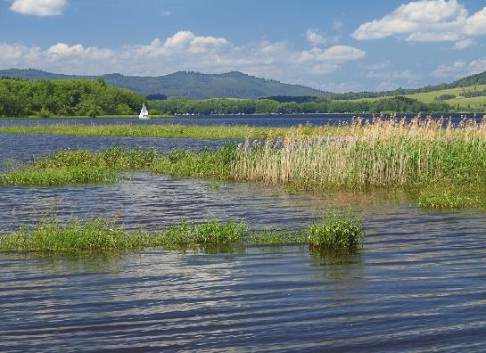 Lipno