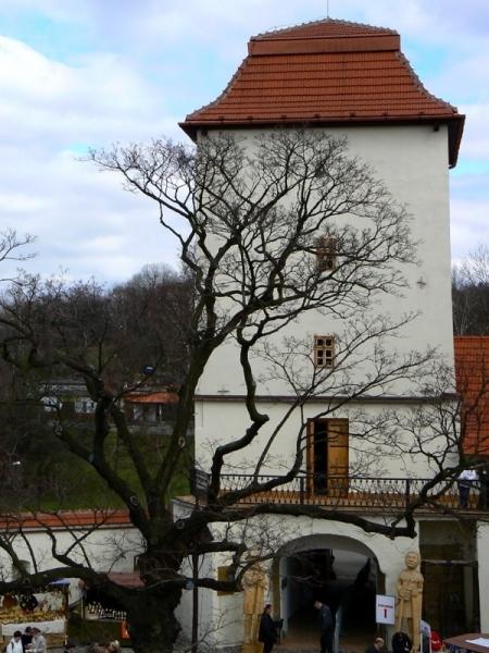 Slezskoostravský hrad