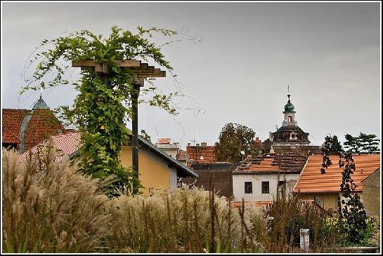 Výhled na klenbu kostela sv.Václava.