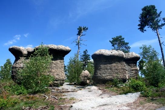 Kamenné hřiby