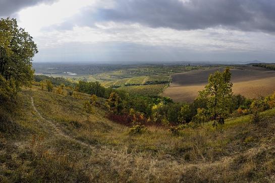 Kraj vína