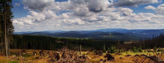 Panoráma z Bučiny